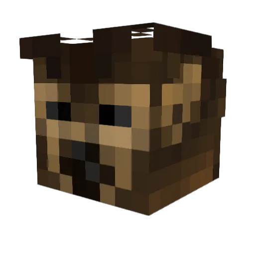BigBuckRogerz Minecraft avatar head, 3D render