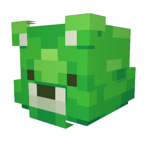 BigBuddyBear Minecraft avatar head, 3D render