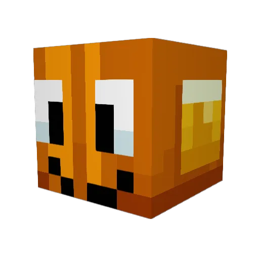 BigBuh123 Minecraft avatar head, 3D render
