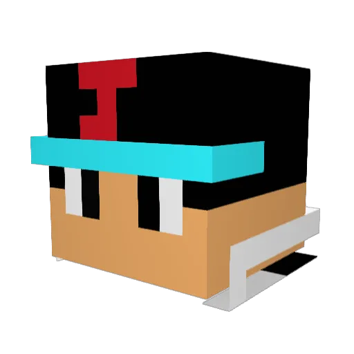 BigBurgerBoy Minecraft avatar head, 3D render