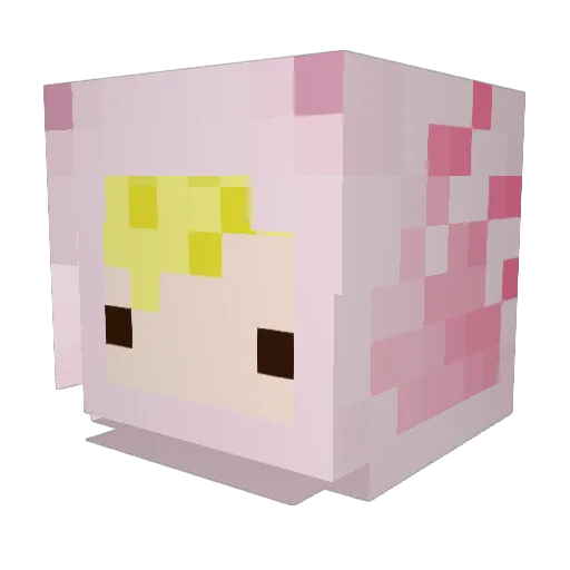 BigBurt69 Minecraft avatar head, 3D render