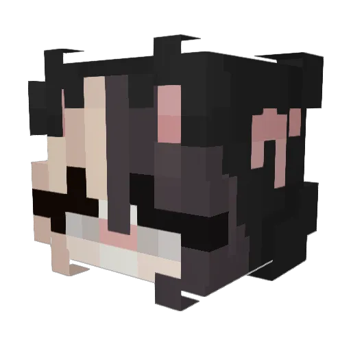 BigCatTiger2 Minecraft avatar head, 3D render