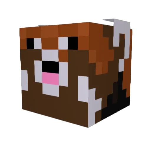 BigChiefNels Minecraft avatar head, 3D render