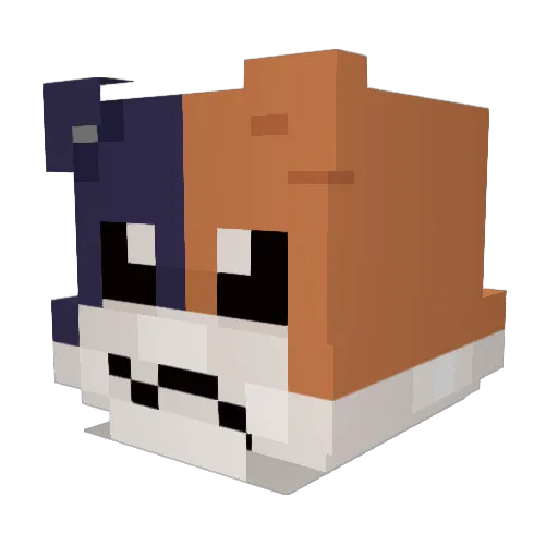 BigChilly6857 Minecraft avatar head, 3D render