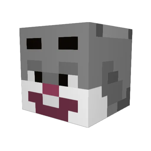 BigChunguslol Minecraft avatar head, 3D render