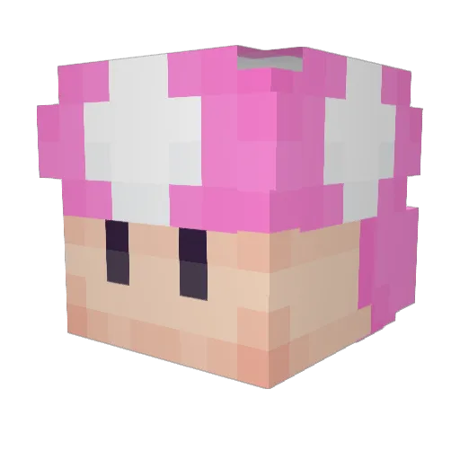 BigCon Minecraft avatar head, 3D render