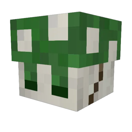 BigCountry_67 Minecraft avatar head, 3D render