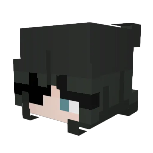 BigCrazzyChongus Minecraft avatar head, 3D render
