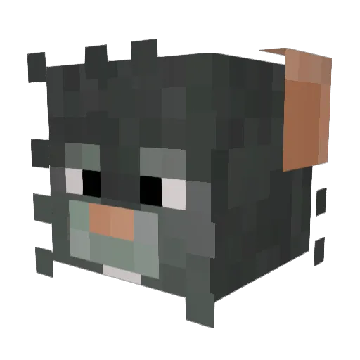 BigDAidan Minecraft avatar head, 3D render
