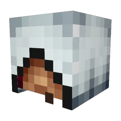 BigDaddyBooom Minecraft avatar head, 3D render