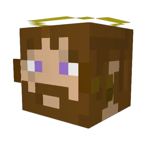 BigDaddyDongus Minecraft avatar head, 3D render
