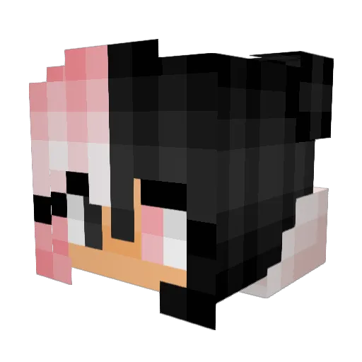 BigDaddyKennedy Minecraft avatar head, 3D render