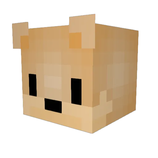 BigDaddySchmeat Minecraft avatar head, 3D render