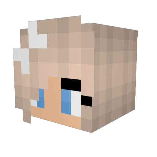BigDaddy_69 Minecraft avatar head, 3D render