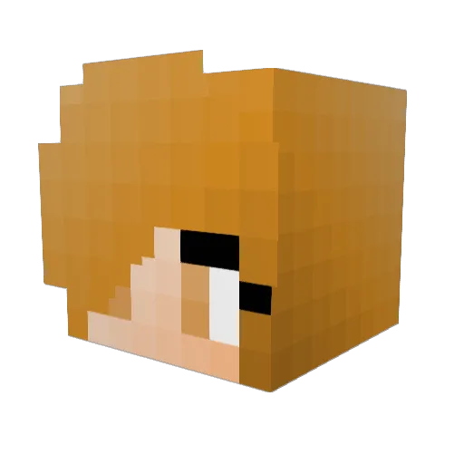 BigDiccChungus Minecraft avatar head, 3D render