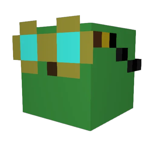 BigDodoBird Minecraft avatar head, 3D render