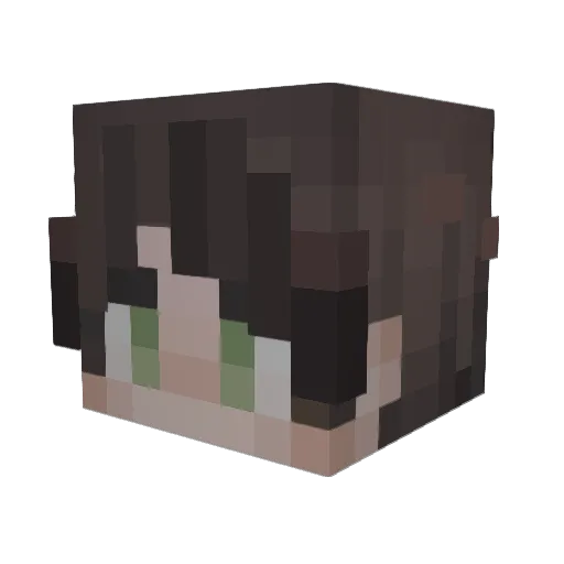 BigDominator Minecraft avatar head, 3D render