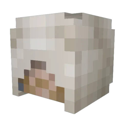 BigDyl49 Minecraft avatar head, 3D render