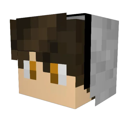 BigE12345 Minecraft avatar head, 3D render