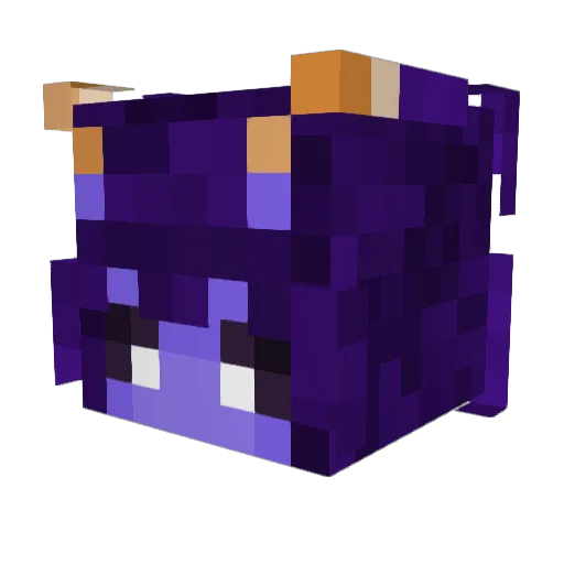 BigEpic_ Minecraft avatar head, 3D render