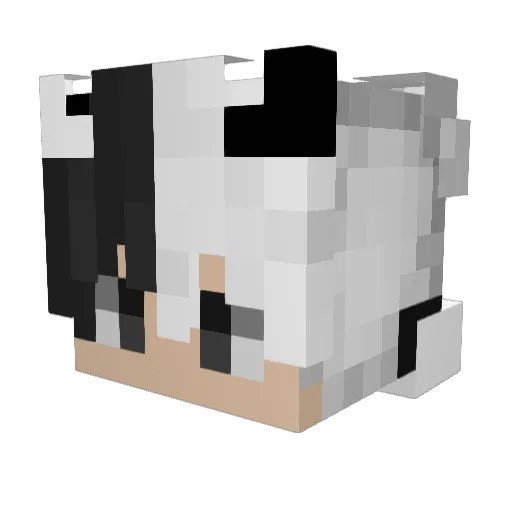 BigF00tIsReal09 Minecraft avatar head, 3D render