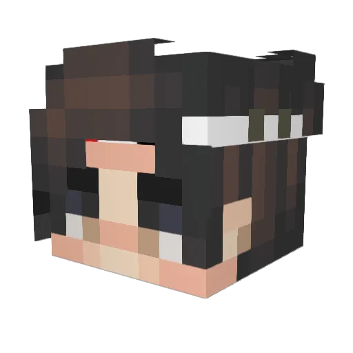 BigFanDownpiped Minecraft avatar head, 3D render