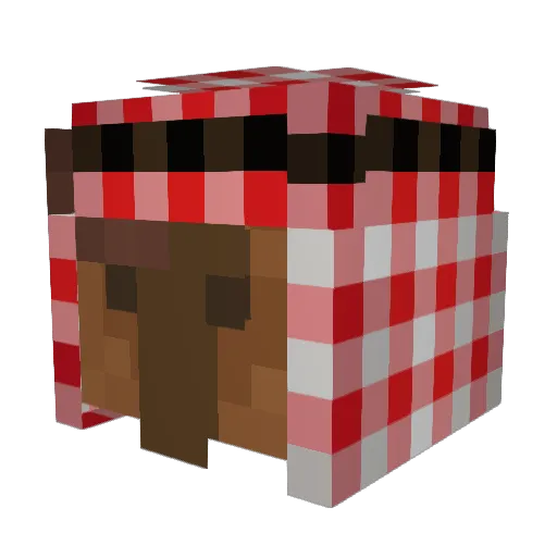 BigFanOfTung Minecraft avatar head, 3D render
