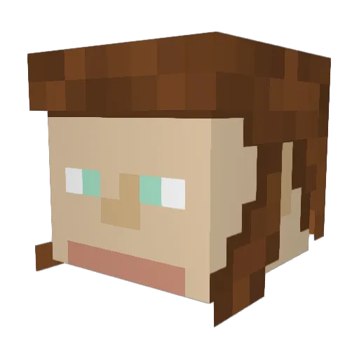 BigFatSpider Minecraft avatar head, 3D render