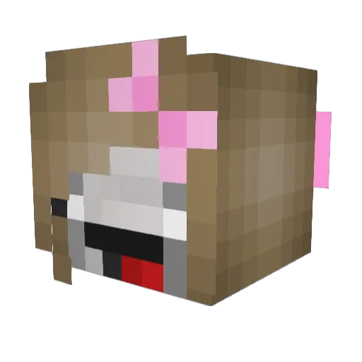 BigFatTurtle Minecraft avatar head, 3D render