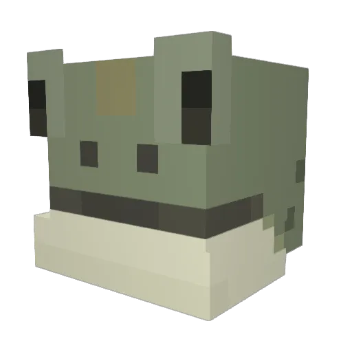 BigFr00g Minecraft avatar head, 3D render