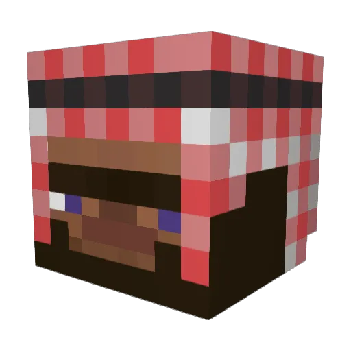 BigFudge137 Minecraft avatar head, 3D render