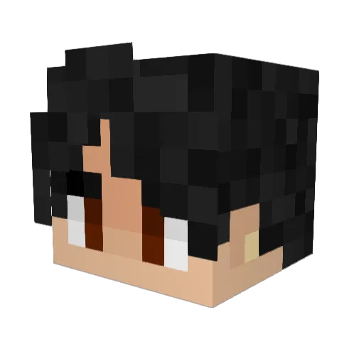 BigFudge77 Minecraft avatar head, 3D render