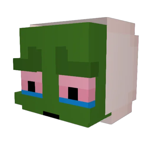 BigGayFrog Minecraft avatar head, 3D render