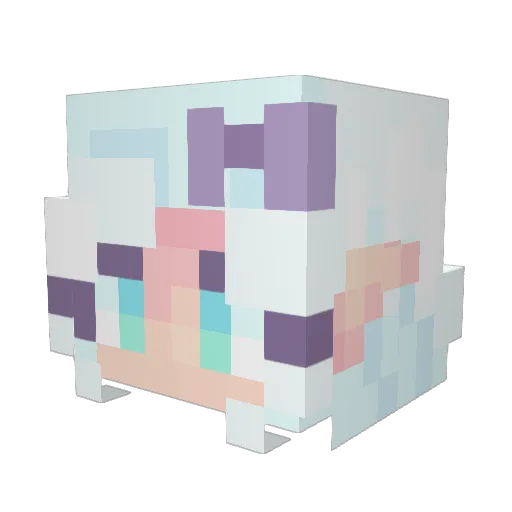 BigGorl11 Minecraft avatar head, 3D render
