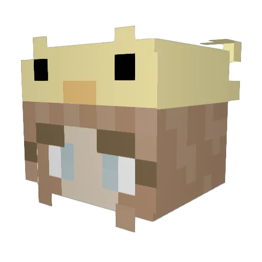 BigGracie04 Minecraft avatar head, 3D render
