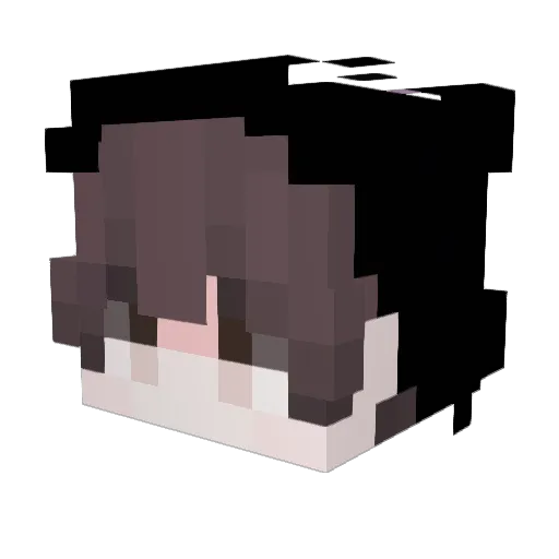 BigHaddock81086 Minecraft avatar head, 3D render