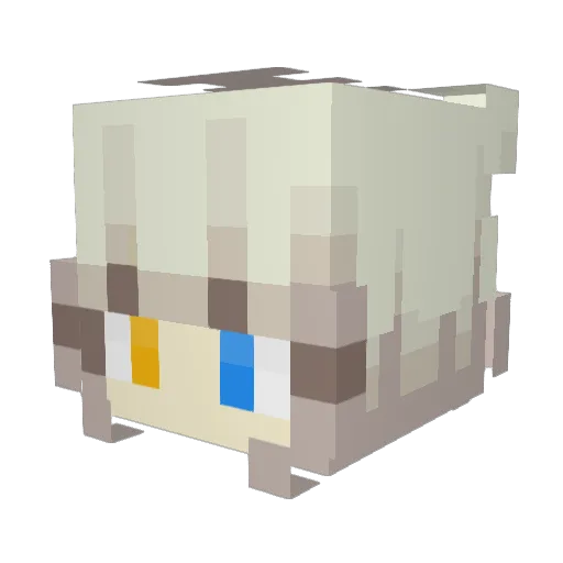 BigHead4545 Minecraft avatar head, 3D render