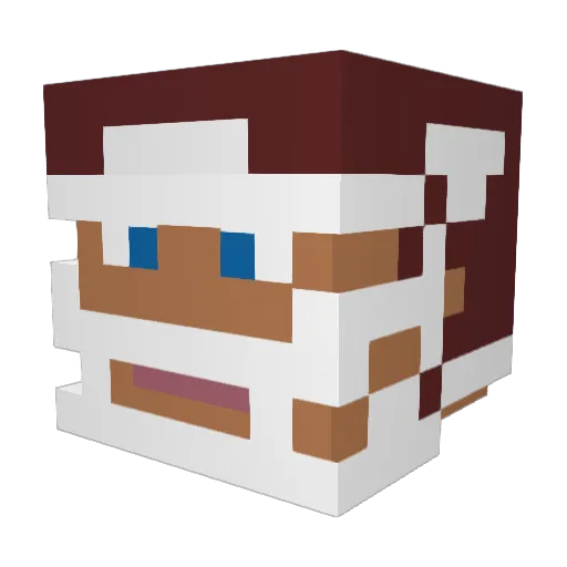 BigHogStu Minecraft avatar head, 3D render