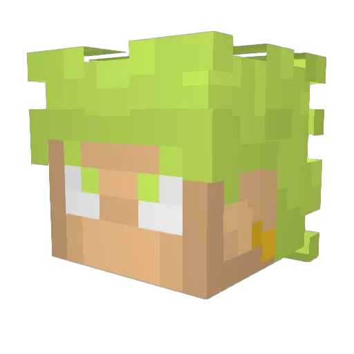 BigIron235 Minecraft avatar head, 3D render