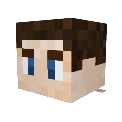 BigJ420 Minecraft avatar head, 3D render