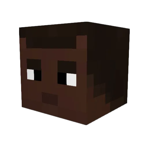 BigJan1Whatever Minecraft avatar head, 3D render