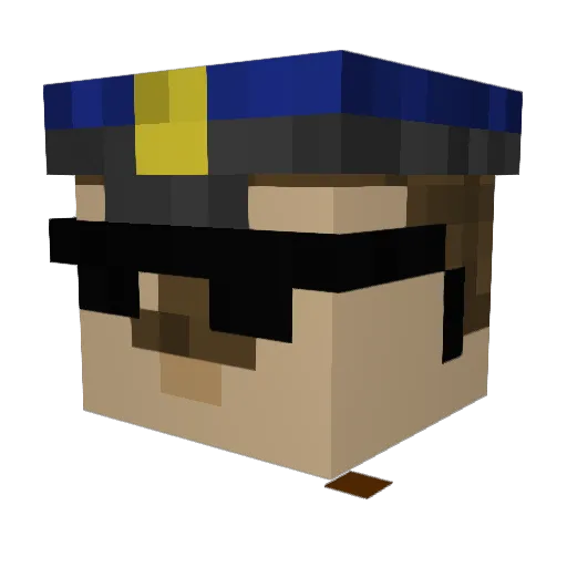 BigKoala_ Minecraft avatar head, 3D render