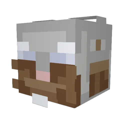 BigLad843 Minecraft avatar head, 3D render