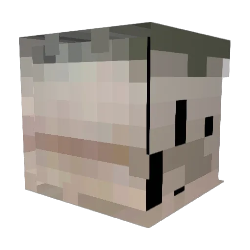BigLink69 Minecraft avatar head, 3D render