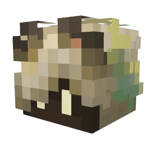 BigLunchBox43 Minecraft avatar head, 3D render