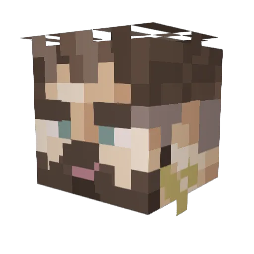 BigMac090 Minecraft avatar head, 3D render