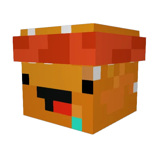 BigMac0o0 Minecraft avatar head, 3D render