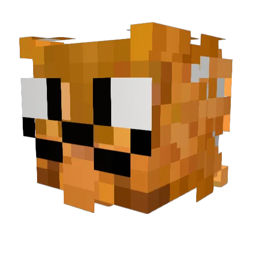 BigMacDouble21 Minecraft avatar head, 3D render