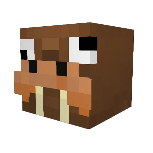 BigMacLeXa Minecraft avatar head, 3D render