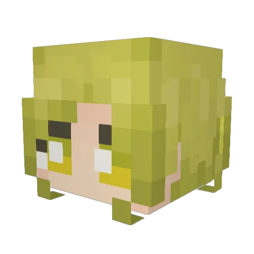 BigMacLovr Minecraft avatar head, 3D render